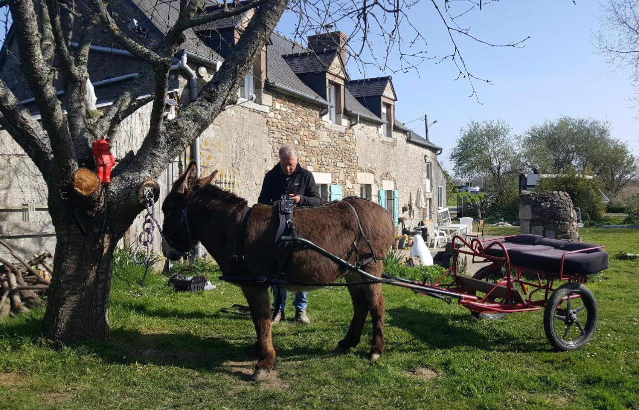 gite AnnArmor Tremereuc Exterior foto